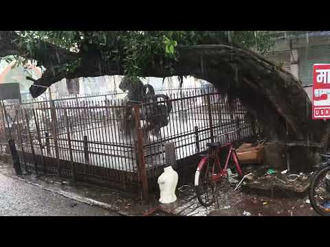 Kaafi dino baad vlogs banaye hai baithe baithe barish me #vlogs #mininvlogs #video