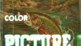 Field Stream - Behind The Cover