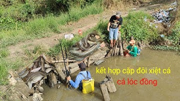 kết hợp cặp đôi xiệt cá được nhiều cá lóc cá trê thấy ham quá 