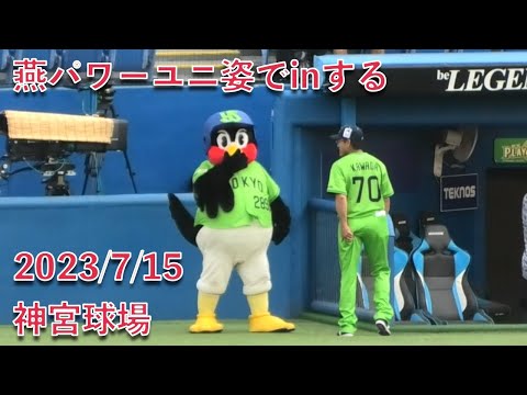 つば九郎、燕パワーユニ姿でinする 2023/7/15