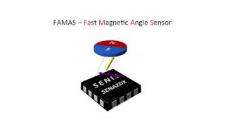 FAMAS - Magnetic Angle Sensor SENA2Dx