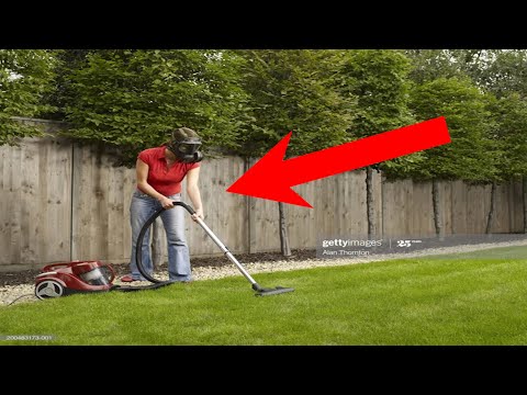 HOW TO DEAL WITH OVERGROWN LAWN *NOT CLICKBAIT*.