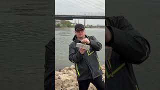 Meine Montage für Waller #wallerangeln #waller #welsangeln #blackcat #angeln #angelnamrhein #fishing