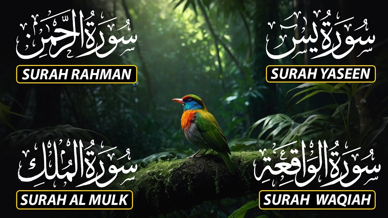 Beautiful Surah Yaseen (Yasin) | Surah Rahman | Surah Waqiah | Surah Mulk