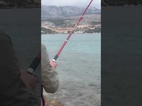 Ölmeyi Unutmuş Sokar