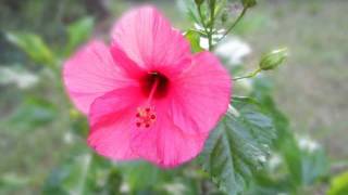 Eric Crosby Photography