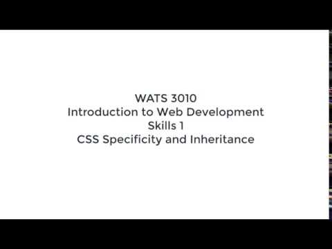 Skills 1 CSS