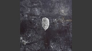 Damename - RasadRashi