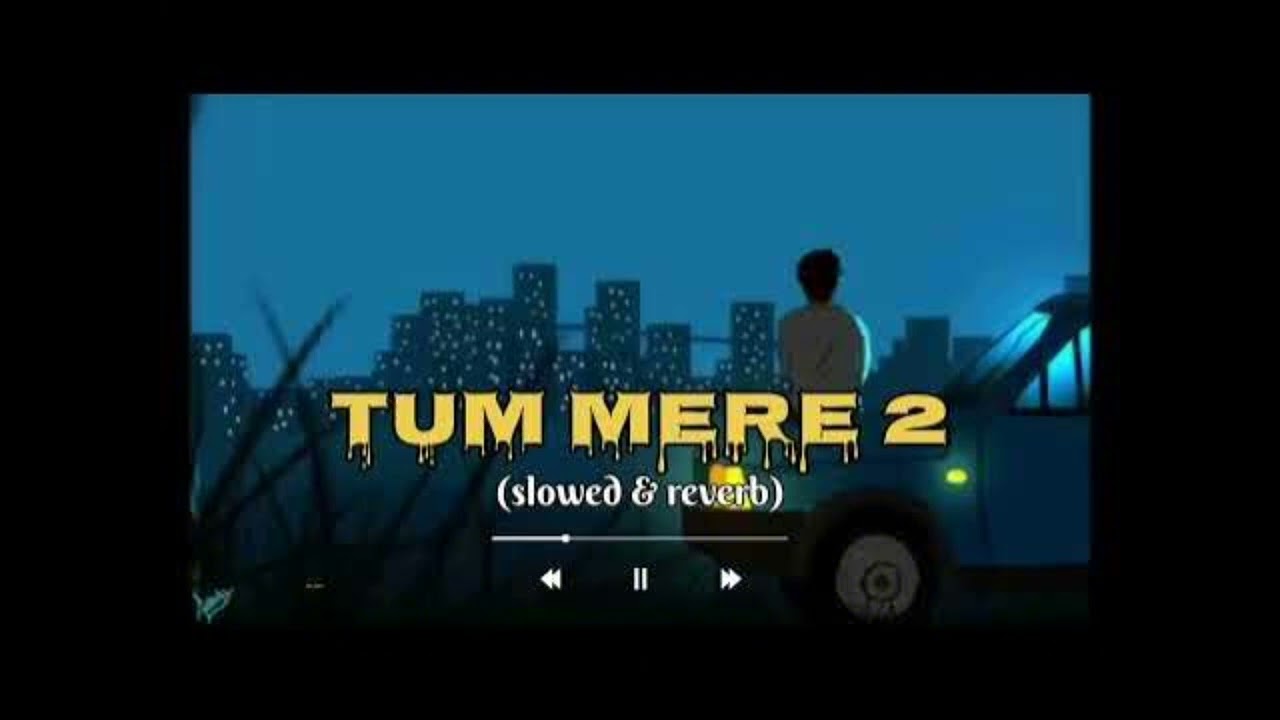 Tum mere 2 || lofi + reverb || @triggeredinsaan  || @malhanrecords3399 #love #youtube #lofi