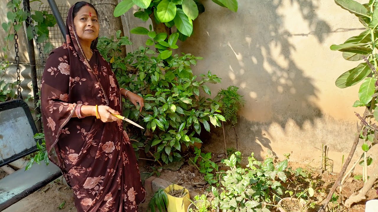 गुड़हल का फूल ऐसे लगाए | Gudhal ka Phool Aise Lagaye