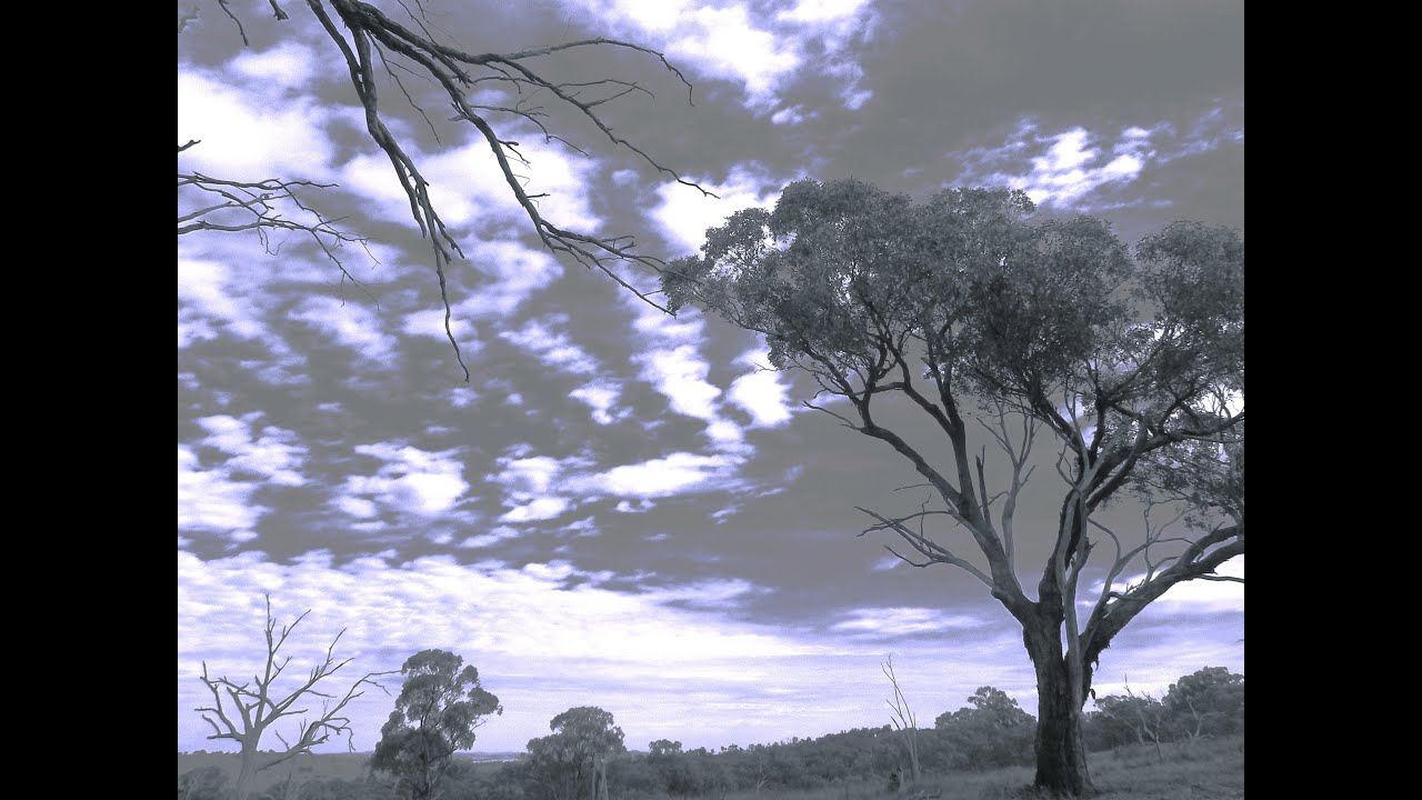 Ophir Goldfields Tour