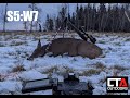 Deer Hunting DOE MONTAGE--CTA:S5:W7--"SAUSAGE DEER"--