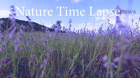The Power of Nature   Timelapse