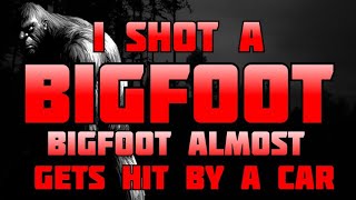 I SHOT A BIGFOOT! BIGFOOT ALMOST GETS HIT BY A CAR  WITNESS GIVES GREAT DETAILS