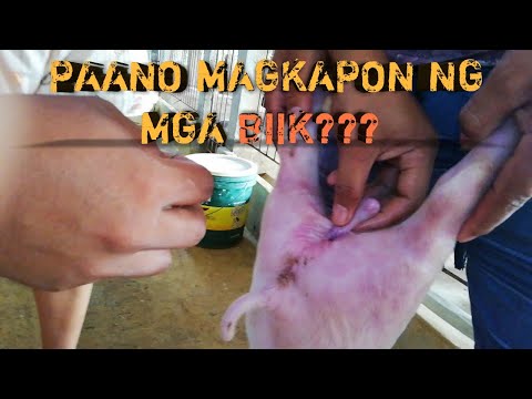 Video: Paano Makakarating Sa Kozhukhovo