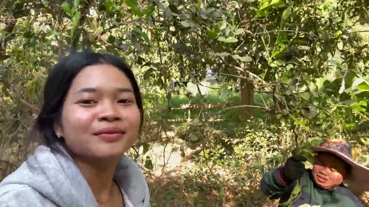 Today’s task: harvesting fresh lime leaves