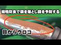 【科学】赤錆を予防する驚く検証とサビ落とし方法