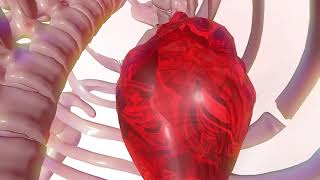 A Cinema 4d Lite Animation; The Heart