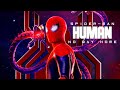 Spiderman  no way home  human  ksk editz  mashup