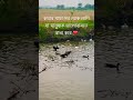 মানুষ শরব প্রথম কথার প্রেমে পড়ে ❤️@AirinSheikh-m2p #motivational #shortvideo