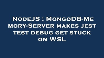 NodeJS : MongoDB-Memory-Server makes jest test debug get stuck on WSL
