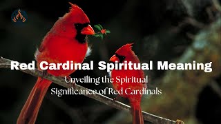 Red Cardinal Spiritual Meaning: Hope, Love, and Messages from Beyond