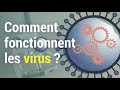 Comment fonctionnent les virus  histoires de virus 