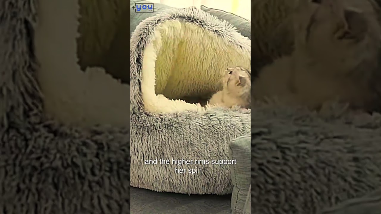 Round Plush Bed For Pets