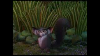 madagascar - Ik hou van dansen