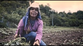 Banco Nacional de Costa Rica (BNCR)