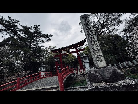 4/13偶然見た人強運!㊗️おめでとうございます、神代からの氣が渦巻くパワースポット神社がスゴすぎる。氣比神宮 4/13偶然見た人強運!㊗️おめでとうございます、神代からの氣が渦巻くパワースポット神社がスゴすぎる。氣比神宮