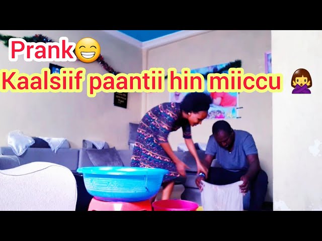 Keksa ayollarning eskirgan mushuklari