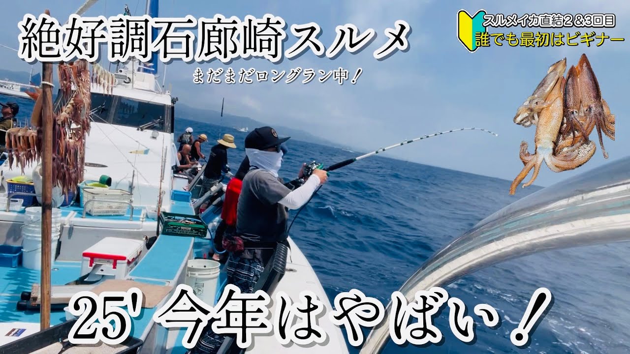 🔰誰でも最初はビギナー【直結番長（再）チャレ】絶好調の石廊崎スルメイカ！沖干しゾロゾロ経験してみたい #スルメイカ #石廊崎  #船釣り #舵丸