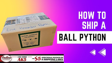 How to: Ship a Ball Python