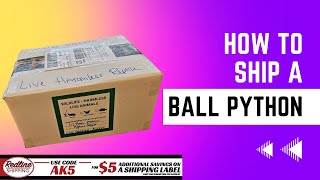 Celebrity How to: Ship a Ball Python Net Worth