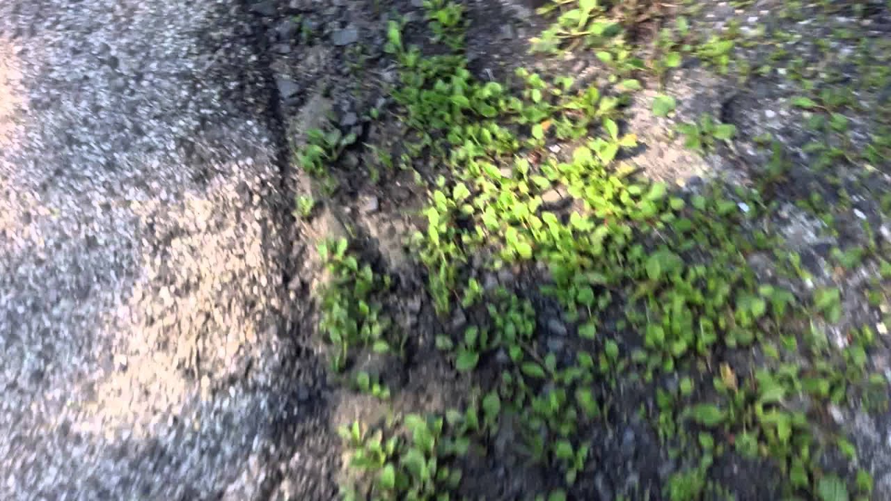 Trip To Hell | Part 1 | Not So Bad