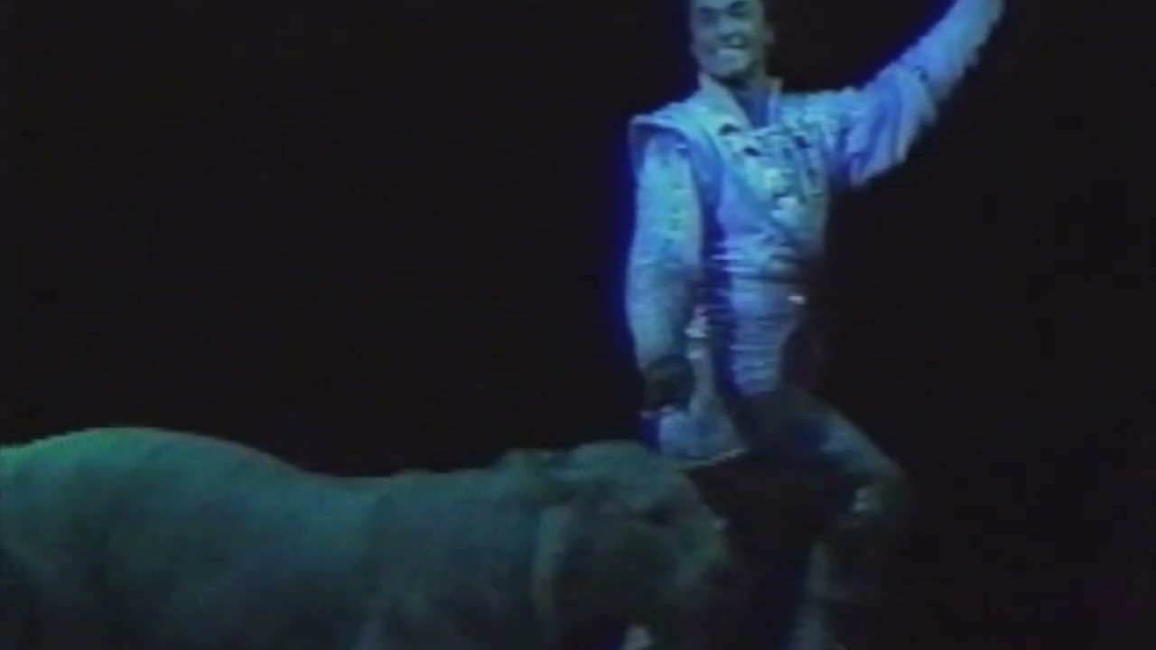 Siegfried & Roy, International Magic Awards 1990