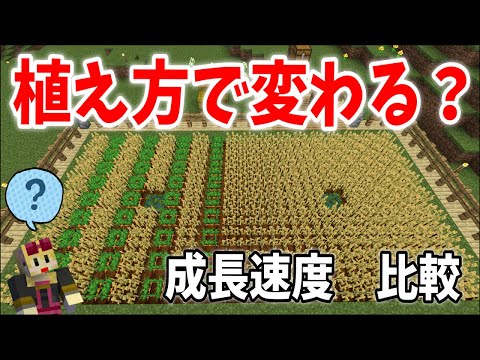検証！基本の畑作りをした後に成長速度を見届けてみる【統合版サバイバル】【マイクラ実況】＃6