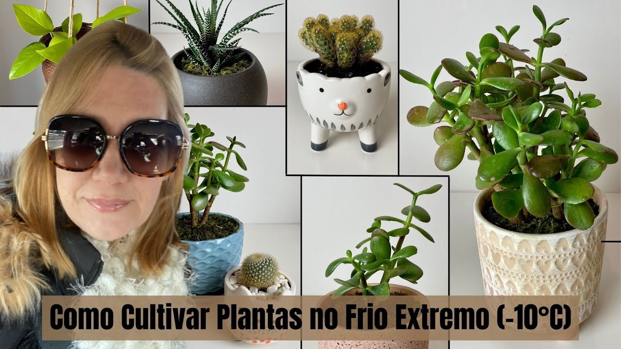 Como Cultivar Plantas no Frio Extremo (-10°C) | Nossa Vida é sem Frescuras!