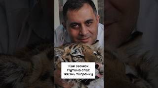 Как звонок Путина спас жизнь тигренку