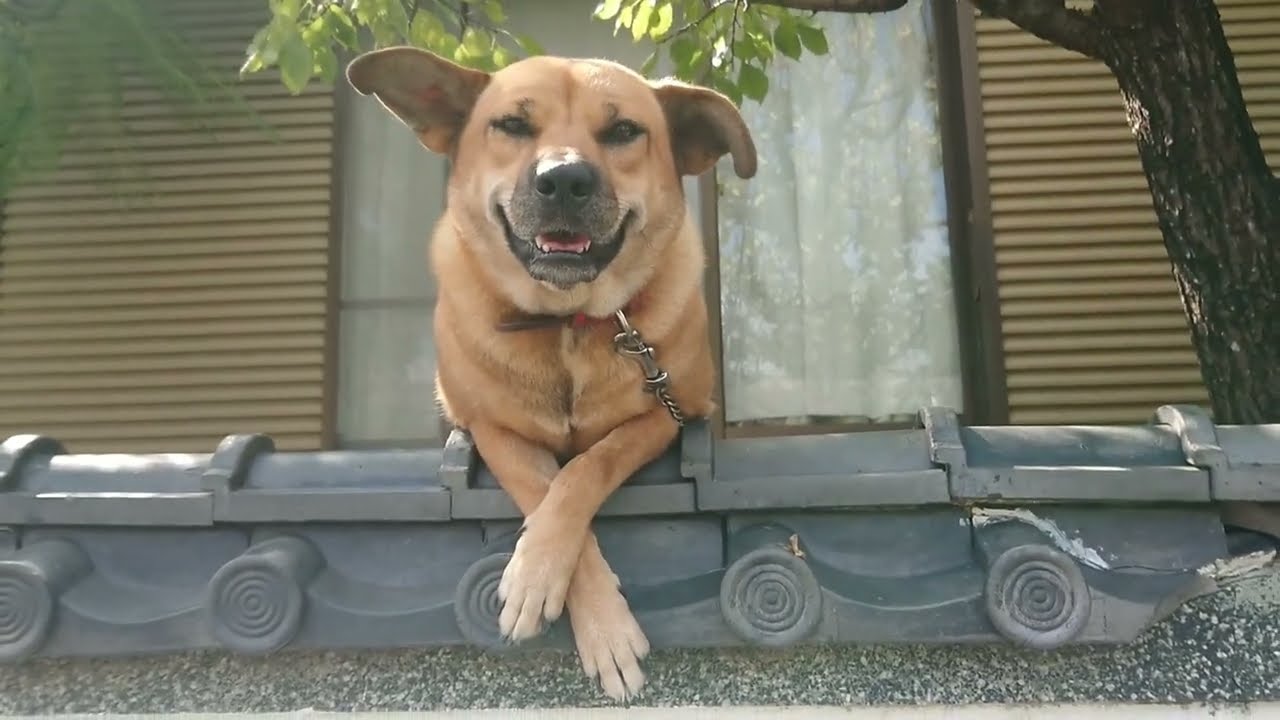 キラキラスマイル☺️