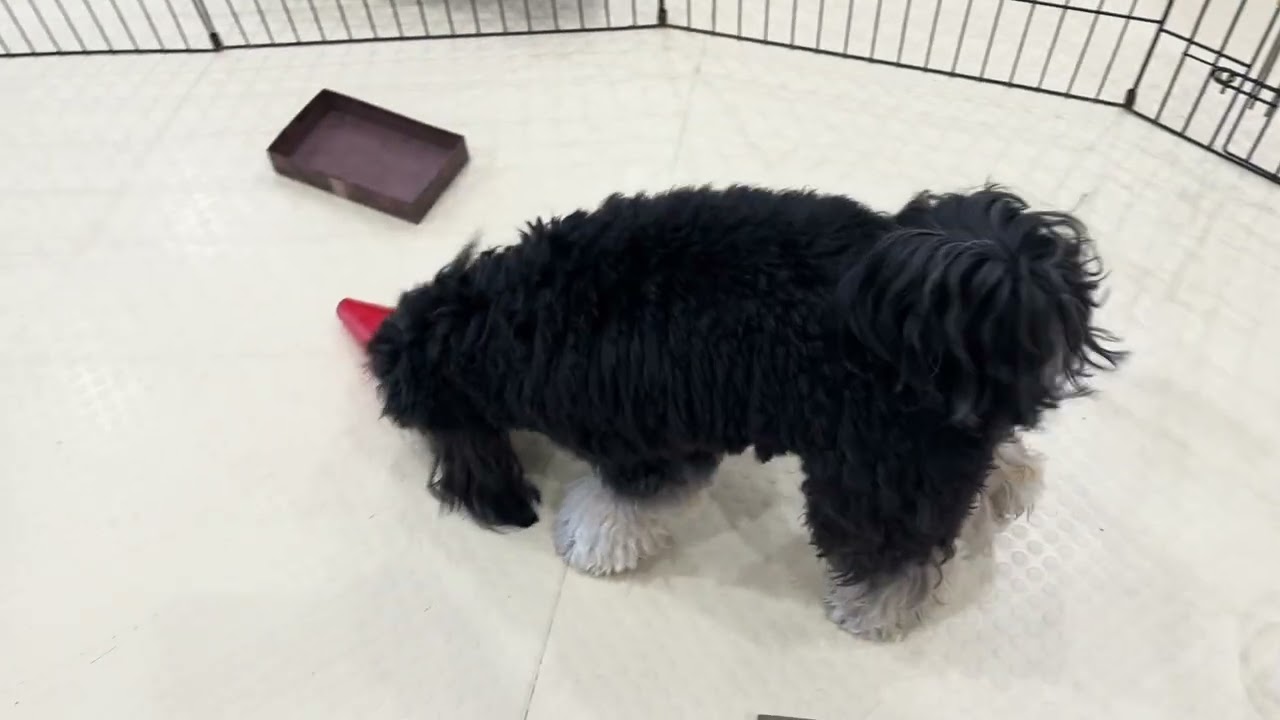 2026.02.28 トレーニングの様子