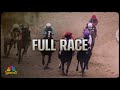 The pimlico special stakes 2024 full race  nbc sports