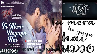 Tu Mera Hoa Hai Song Audio Song Tadap Ahan Tara Sutaria Jubin Nautiyal One Room Record