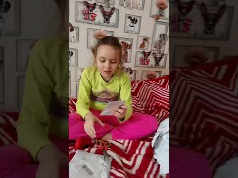 Обзор ошейника для кота с AliExpress
