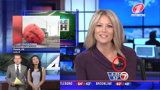 Live TV News Bloopers Fails