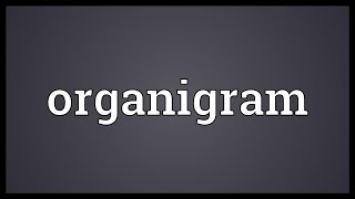 Organigram Meaning