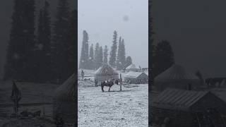 First Snow on the Nomad Steppe ❄️🐎”