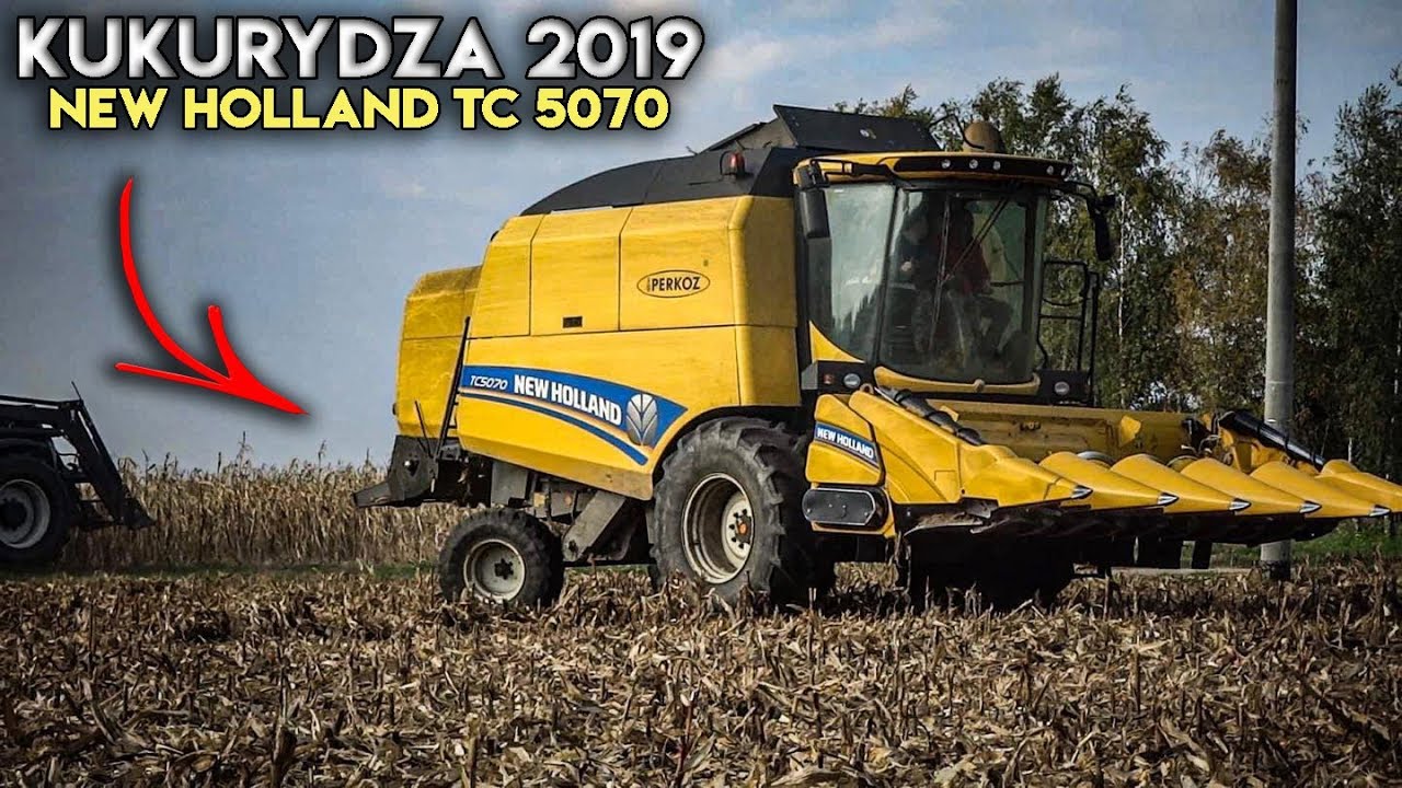 Koszenie QQ na Ziarno 2019 ! ✔ New Holland TC 5070☆Podlasie w Obiektywie☆ Mega Akcja ☆