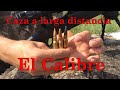 Iniciación a la Caza a larga distancia: El calibre. Long range hunting: The caliber